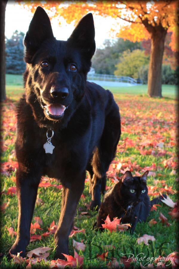 Cheyanne and kitty