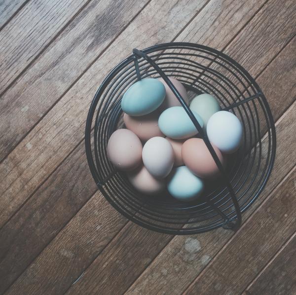 Chicken Eggs