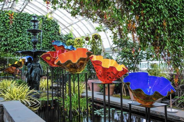 Chihuly exhibit