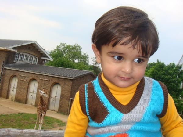 Child at the zoo