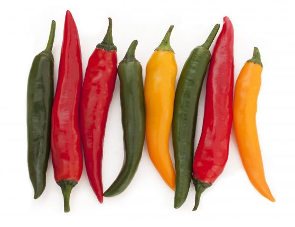chilli peppers