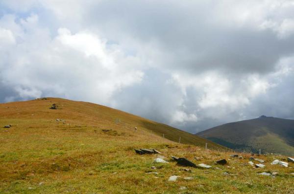 China's Grasslands