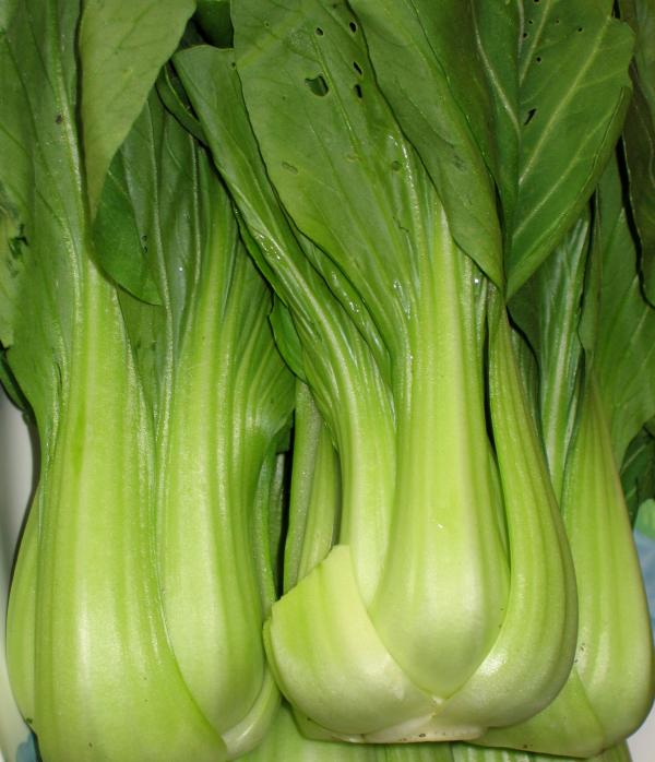 Chinese Bok Choy