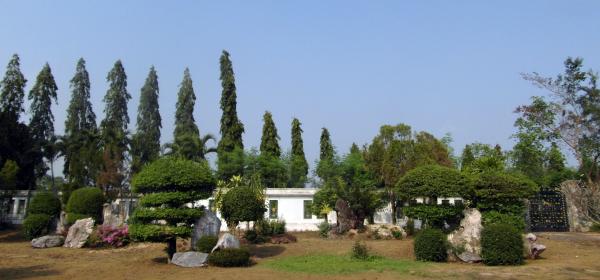 Chinese Style Garden