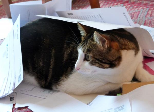 Chiqui helps us with paper work