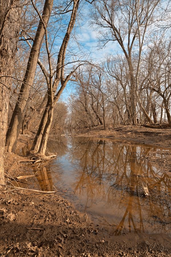 Chisel Branch Creek - HDR