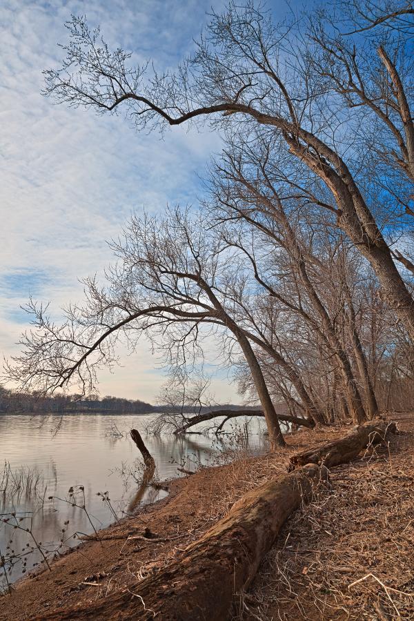 Chisel Branch River Shore - HDR