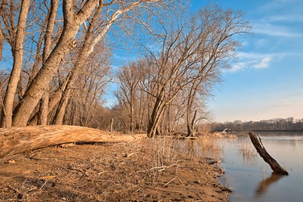 Chisel Branch River Shore - HDR