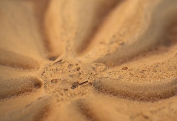 Chocolate ice cream
