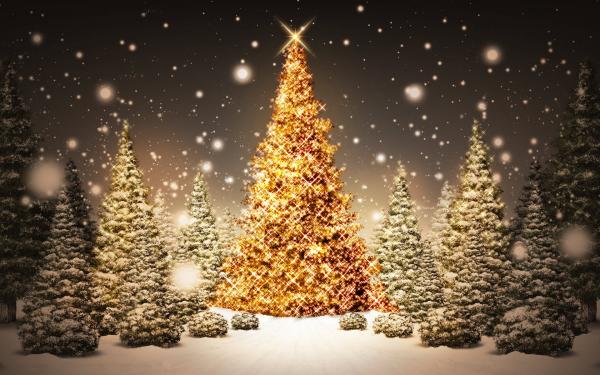 Christmas Holiday