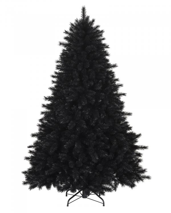 Pine trees