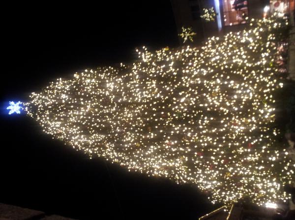 Christmas Tree Closeup