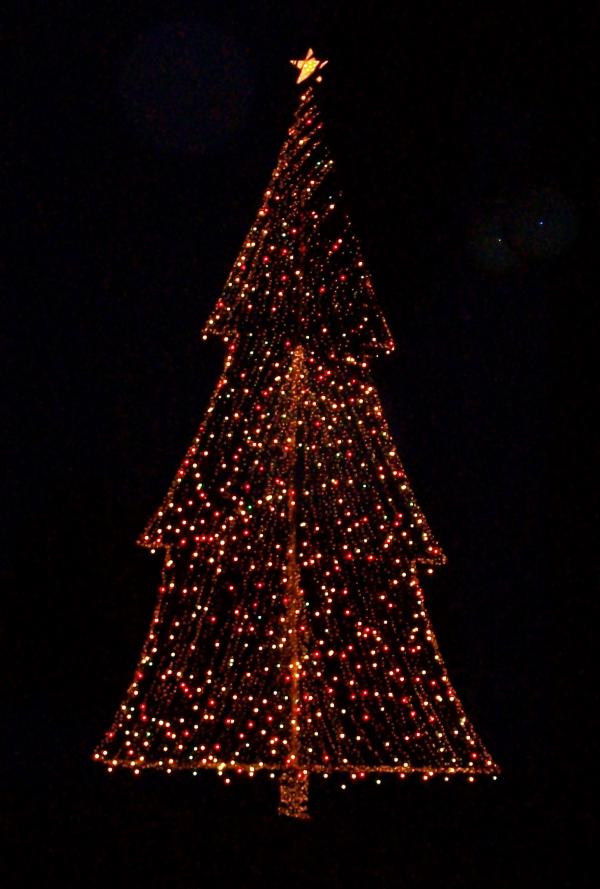 Christmas Tree Lights