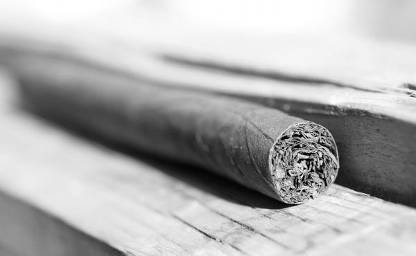 cigar