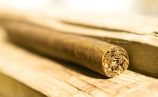 Cigar