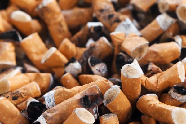 Cigarettes butt
