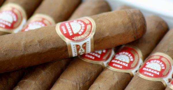 Cigars