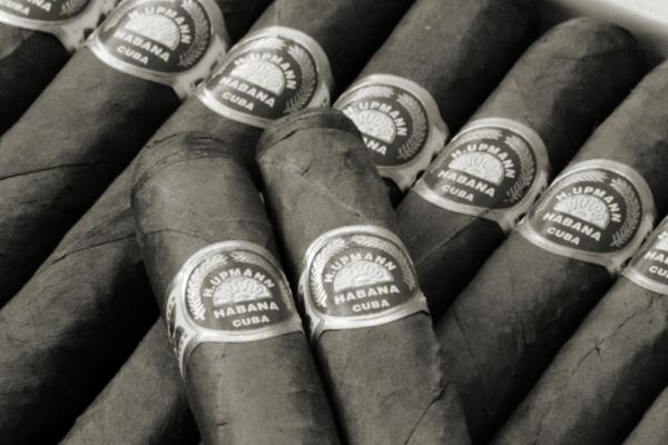 Cigars