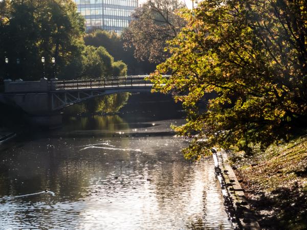 City canal