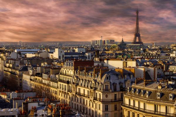 City of Lights