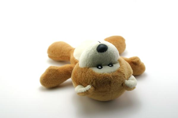 Classic teddy bear