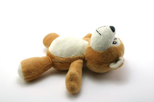 Classic teddy bear