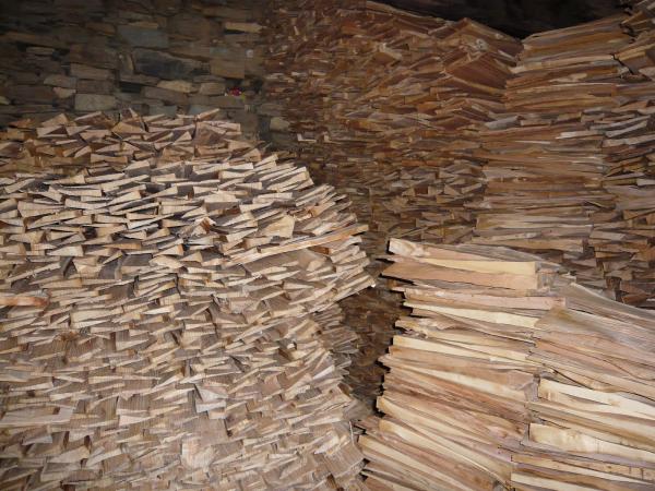 Cleopatra's shingle