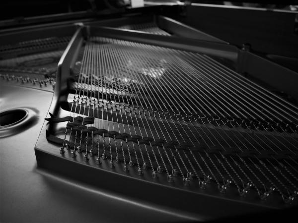 Close up of a Musical Instrument