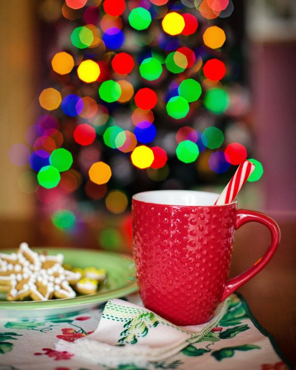 Close-up of Christmas Decorations on Tree