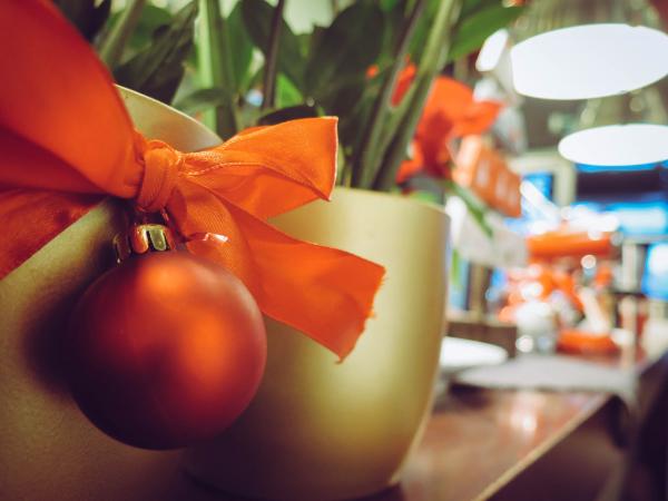 Close-up of Christmas Plant