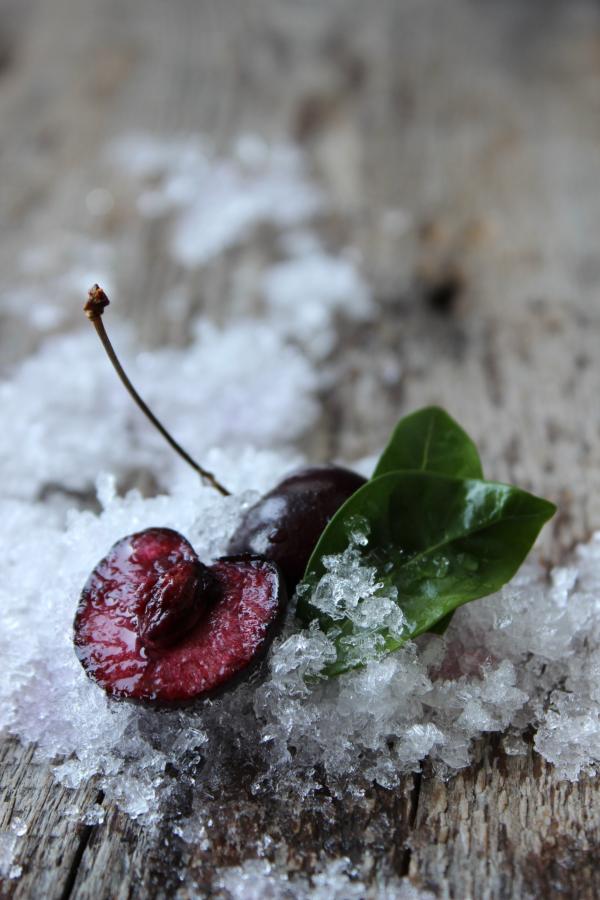 Close-up of Frozen Leaf