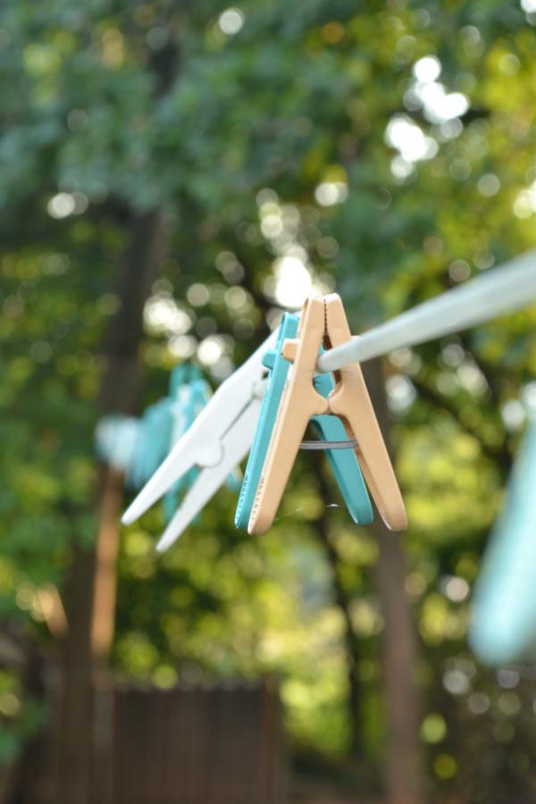 Cloth Clips