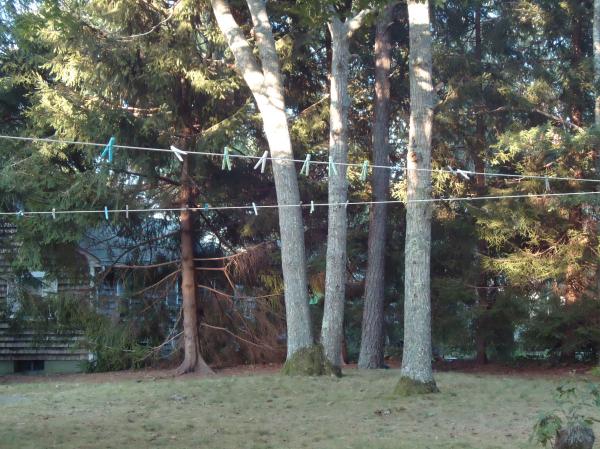 Clothes line