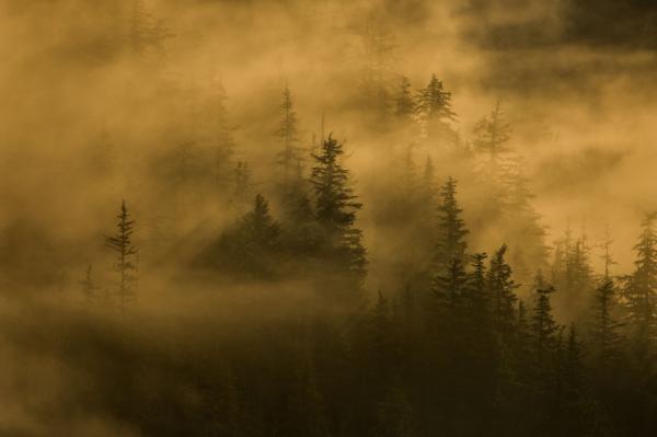 Clouded Morning Background