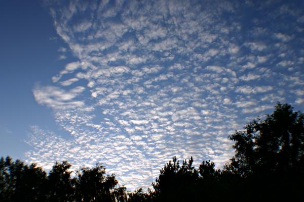 Clouds