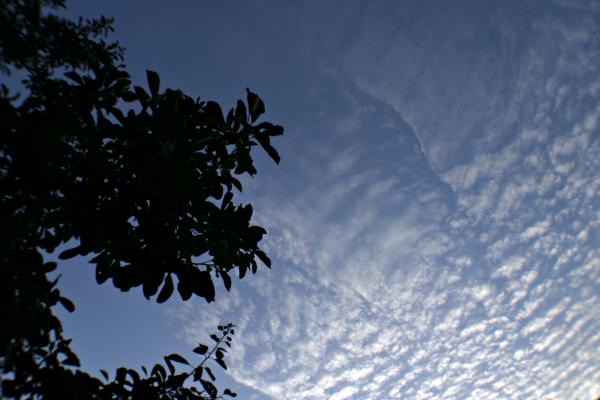 Clouds