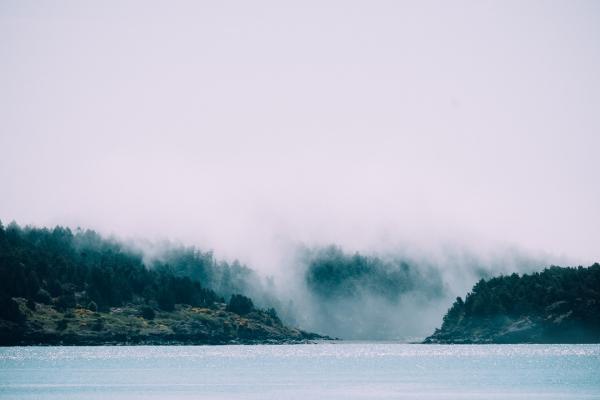 Clouds Covering the Forest