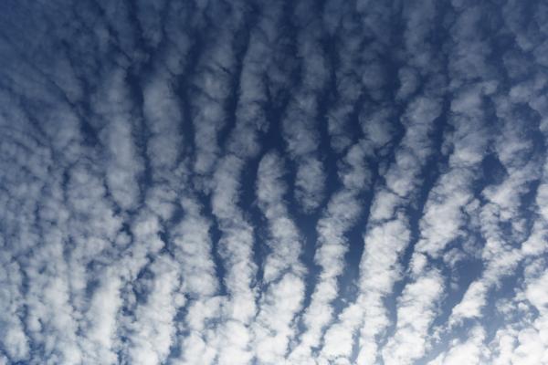 Clouds In The Sky