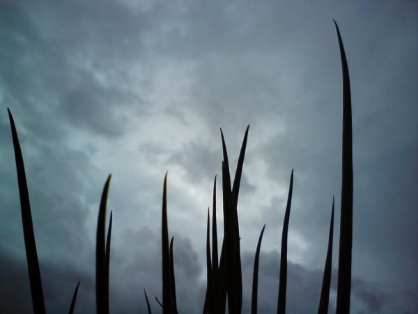 Cloudy