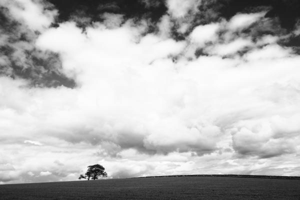 Cloudy