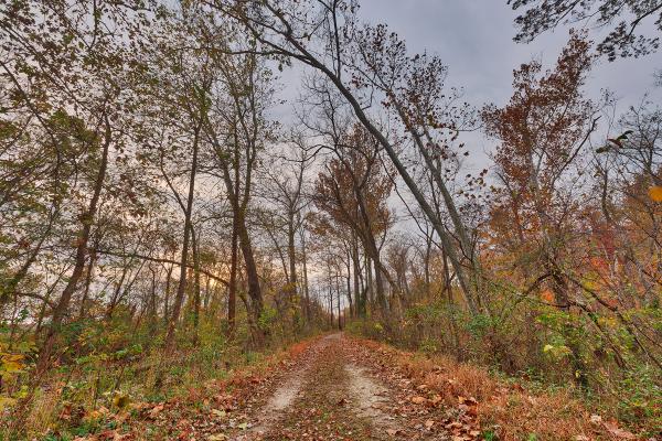 Cloudy Autumn Sunset Trail - HDR
