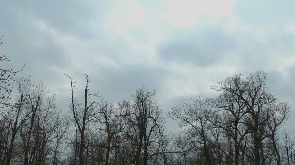 Cloudy in Winter