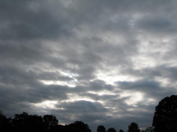 Cloudy Mornings