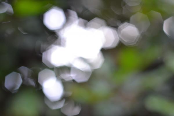 Clump of Honeycomb Lights