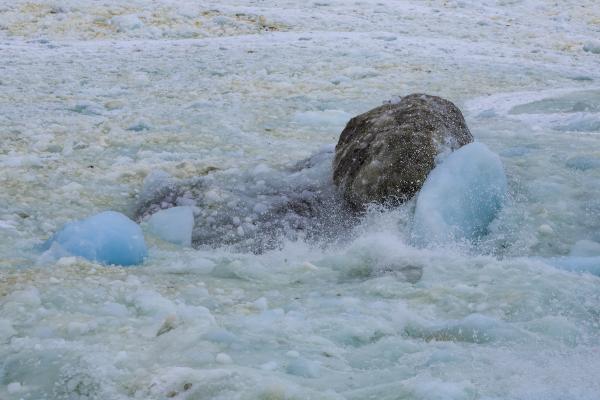 Coastal Ice at Shore