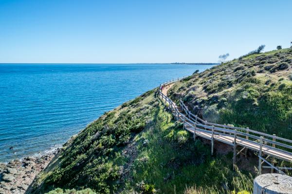 Coastal walk