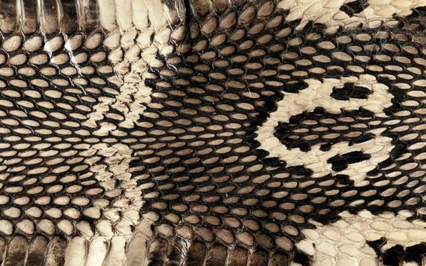 Cobra skin