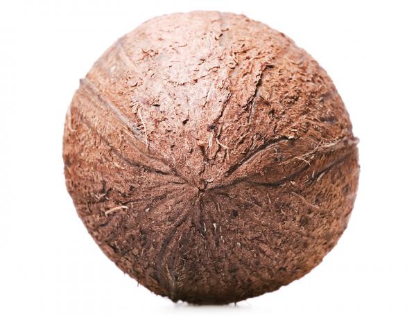 Coconut