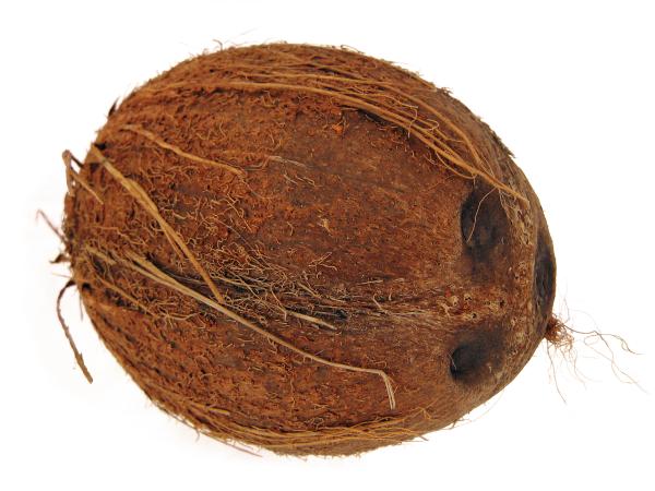 Coconut