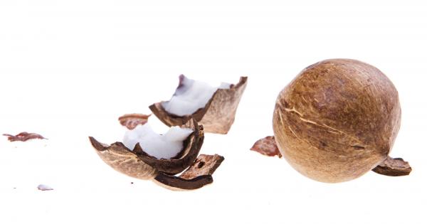 Coconut